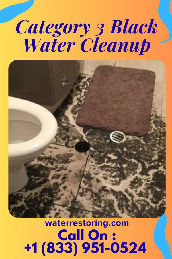 Category 3 Black Water Cleanup in Quarryville, PA