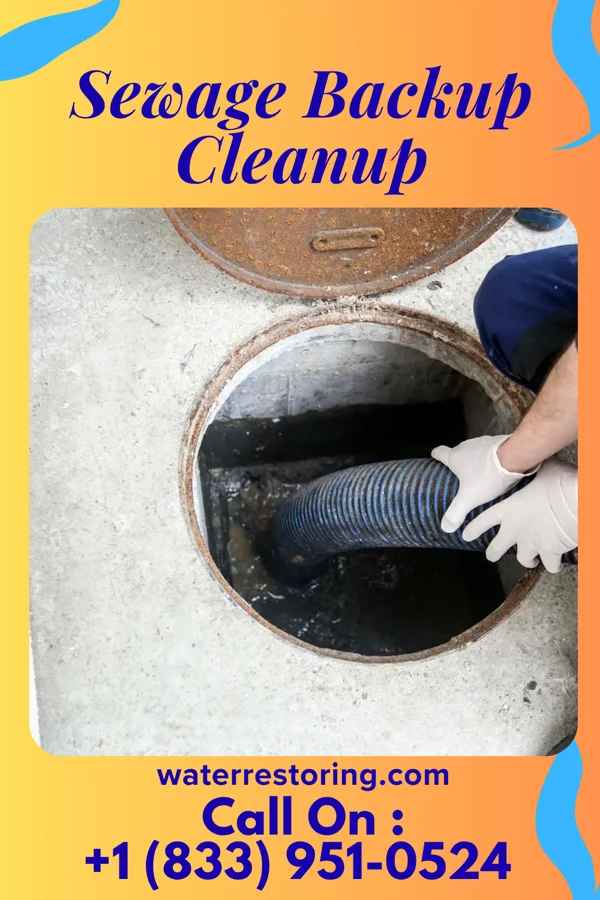 Sewage Backup Cleanup in Quarryville, PA
